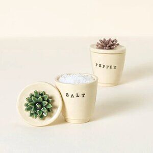 Uncommon Goods NIB Handmade Succulent Salt & Pepper Pots Set